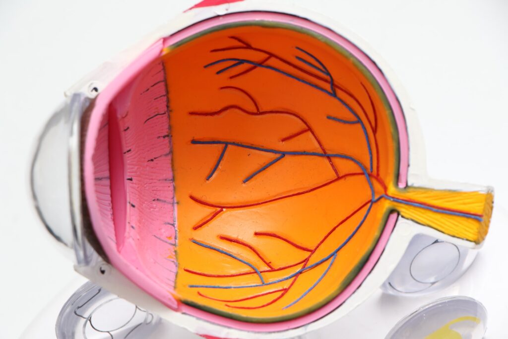 RETINA